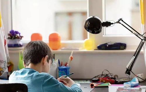 教育局发文加强教育咨询服务，家长监督职责获强化