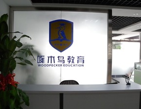 啄木鸟教育喜获2500万元投资，专注深化留学咨询服务