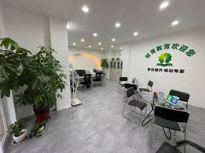 深耕教育咨询，点亮成长之路——河南树青教育咨询服务解析