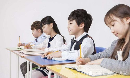 探寻孩子成绩差背后的深层原因与教育咨询的价值